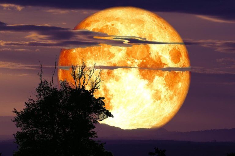 Der Vollmond wird auf der anderen Seite der Welt von der Sonne voll angestrahlt. In der Astrologie nennt man den Aspekt Opposition